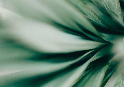 SECURE 2.0 Provisions and Priorities for Defined Contribution Plans