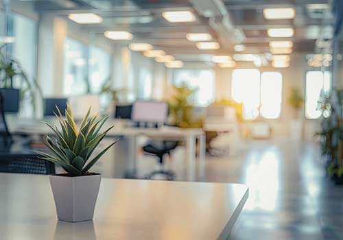 Understanding Connecticut's State Mandates for Retirement Plans: Options and Compliance